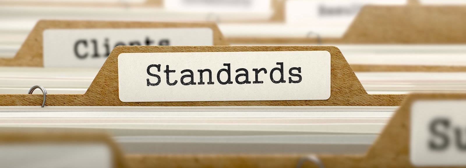 Normative Europee/ European Standards